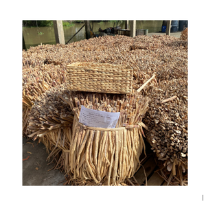 Jacinto de agua seca para hacer bolsas y cestas, Material sin procesar - Product Image 1