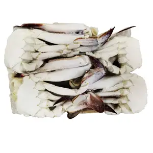 Grosir Produk Makanan Laut Kepiting Berenang Biru Beku dengan Telur/Kepiting Lumpur Kualitas Terbaik untuk Dijual