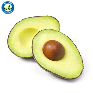Aceite Esencial de aguacate orgánico Natural, alta calidad, 100% puro, venta al por mayor - Product Image 4