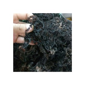 สาหร่ายทะเลแห้งราคาถูก - Product Image 1