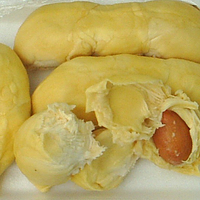 Snelle Levering 100% Biologische Durian Vlees Uit Vietnam Hot Selling Hoge Kwaliteit Voor Exporteren
