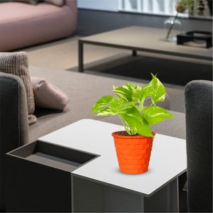 Jardinières fleurs de noël, pour balcon, salon, support de plantes en extérieur, décoration de la maison - Product Image 3