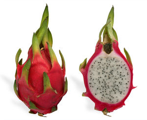 FRUIT DU DRAGON FRAIS DE QUALITÉ SUPÉRIEURE CANNE À SUCRE DU VIETNAM - Product Image 1