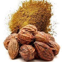 Extrait de Myrobalan de haute qualité, pur et naturel, extrait de fruit de Terminalia Chebula