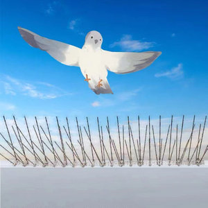 Bandes murales répulsif en gros amélioré en acier inoxydable pigeon <span class=keywords><strong>anti</strong></span> pointes d'oiseaux - Product Image 1
