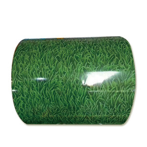 Bobine duro ondulato tetto lamiera bobina Ppgi colore rivestito in acciaio zincato zincato laminato a freddo acciaio zincato a caldo