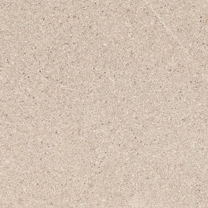 Azulejos de porcelana de superficie mate de diseño moderno Acabado de azúcar 600x600mm 600x1200mm 800x800mm Antideslizante Antibacteriano - Product Image 4