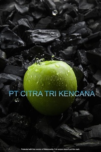 CELEBRATE NEW YEAR LEMON HARD WOOD, STICK CHARCOAL BBQ GRILL BARBECUE STICK CHARCOAL IN WELLINGTON NEWZEALAND OCEANIA PACIFIC - Product Image 2