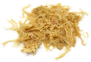 Alga Marina Eucheuma Cottonii de Vietnam en Oferta - Product Image 2