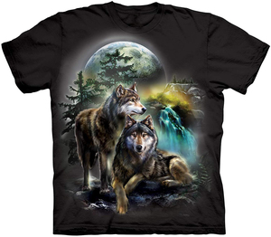 Custom Logo 100% Cotton T <b>Shirt</b> Wholesale - Product Image 2