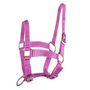 Brida de caballo de poliéster con cuello Halter, productos de tachuelas ecuestres de nailon - Product Image 4