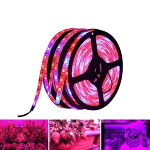 Bande horticole de croissance led SMD5050, étanche, flexible, longueur continue, éclairage pour plantes, bon marché, vente en gros, - Product Image 2