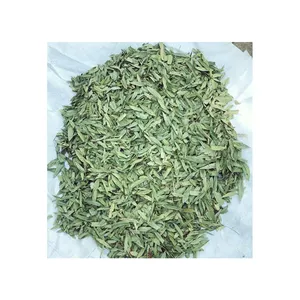 Organic Herbal Senna T Cut Manufacturer Made Best Senna T Cut For Tea Manufacturing