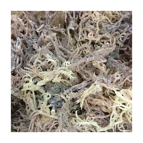 Oro Seamoss/Giamaica mare muschio/Irish moss organico per vegan cibo, frullati mare muschio gel + 84817092069 WA