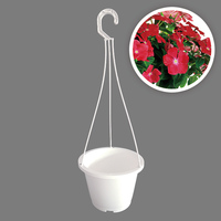 AIERMEI L-043 Eleganz moderner hängender Blumentopf