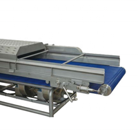 Industriële Fruit En Groenten Luchtgaas Bolt Transportband Ontwatering Afvoermachine Groente Dehydrator Droger