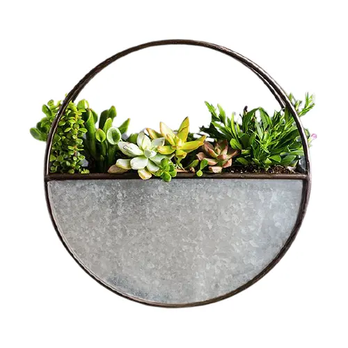 Metall Kreis Wand Pflanzer Runde verzinkt fertig Garten Pflanzer Vollkreis hängenden Eisen Wand Pflanzer zum besten Marktpreis