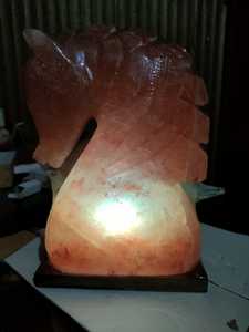 Horse Shape Carved <b>Salt</b> Lamp with Organic Material NSLT - Product Image 3