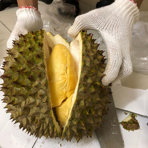 Wholesale Premium Quality Frozen Monthong Durian +84 966722357 - Product Image 1