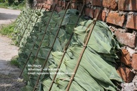 Meilleures ventes de feuilles de bambou brutes du Vietnam - Morceaux pour raviolis, sushis et sashimis