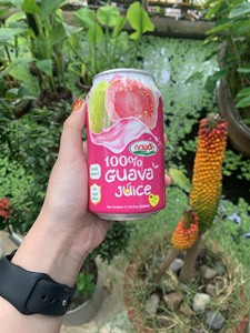 Mejor Precio 500ml NAWON en lata de jugo de guayaba productos de vietnam HALAL ISO - Product Image 6