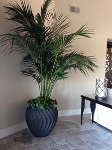 Attractive Design Eco-Friendly Durable Black Powder Coated Galvanized Customized Indoor Outdoor Planters and Flower Pots - Product Image 4