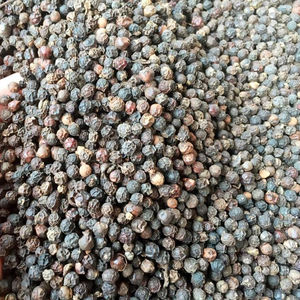 Poivre noir séché poivre cors de haute qualité avec le meilleur prix au Vietnam - Product Image 2