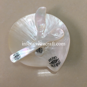 SET of Beautiful Gold Mother of Pearl Spoon, Caviar Spoon, Mop Plate- Mother of Pearl Cubiertos Set-Logotipo personalizado - Product Image 6