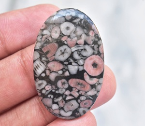 Piedra preciosa natural de coral fósil de crinoide, piedra preciosa semipreciosa de Cindrol, piedra preciosa suelta fósil para joyería - Product Image 2