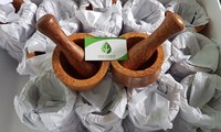 Set Peralatan Makan Sekali Pakai Ramah Lingkungan dari Kayu Kelapa dengan Pisau dan Mangkuk Kerajinan Kayu untuk Berkemah