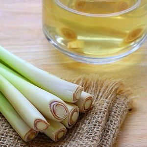 Suministro de aceite de CINTRONELLA, aceite esencial de hierba de limón - Product Image 1