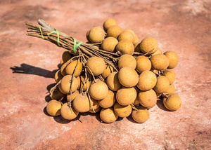 Longanes surgelées de haute qualité directement du fabricant - Vietdelta - Product Image 5