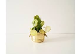 Jardinières dorées en laiton pur avec support, Pots de plantes avec Pots de fleurs et support en métal, décor de salon - Product Image 6