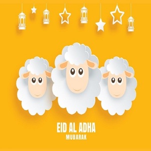 <b>COCONUT</b> <b>CHARCOAL</b> SHISHA HOOKAH Kartepe Turkey Middle East SHISHA 100% <b>COCONUT</b> SHELL <b>CHARCOAL</b> FOR MAKING SHISHA HOOKHA NARGILE - Product Image 1