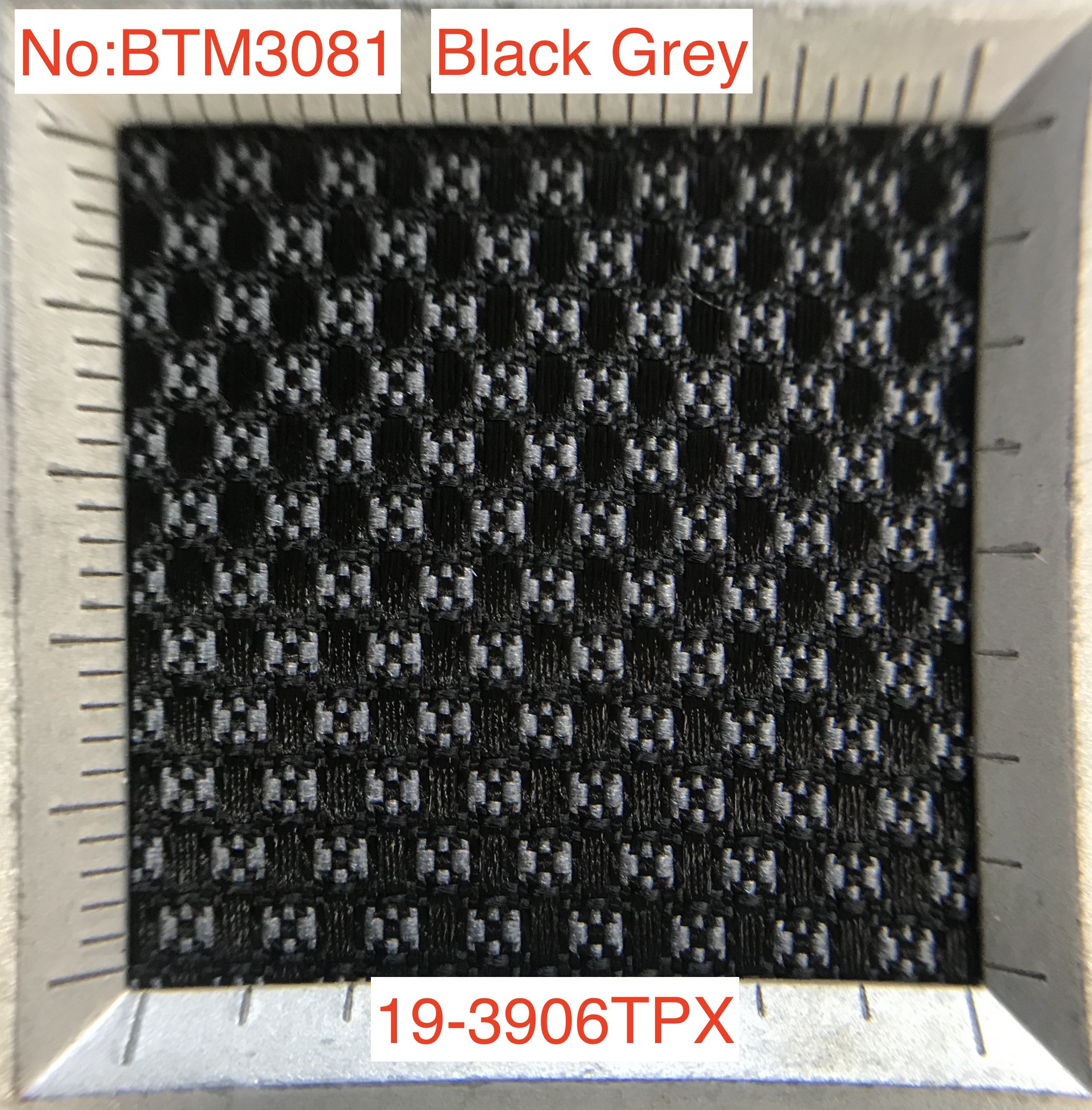 Black Grey  19-3906TPX