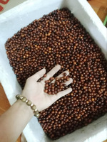 Perles lâches de jaspe de grain de bois lisse naturel pour la fabrication de bijoux et l'artisanat fait à la main 99 couleur or