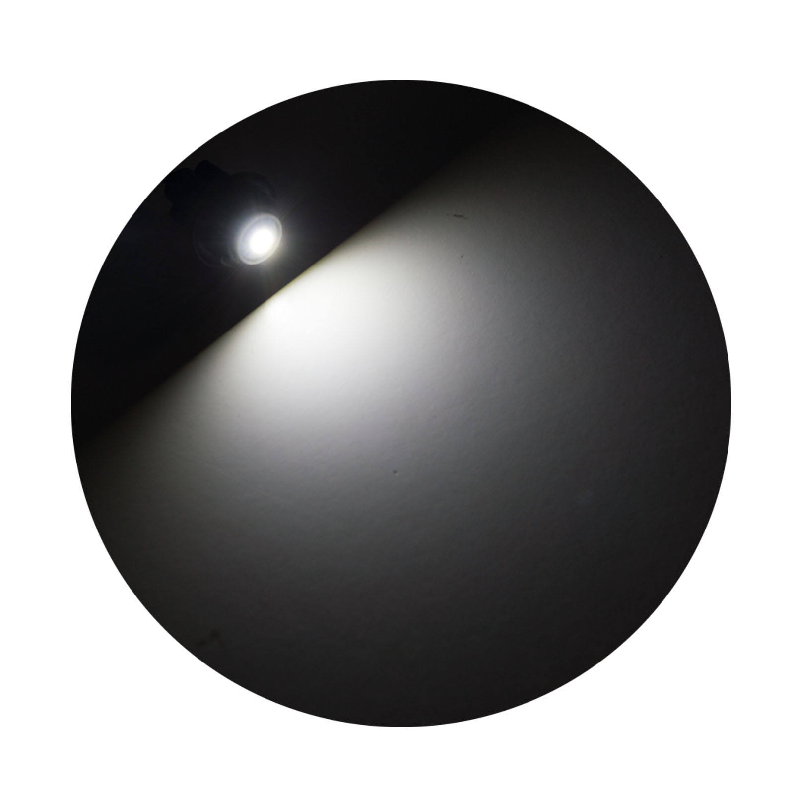 Blanc (6000k) - 31mm