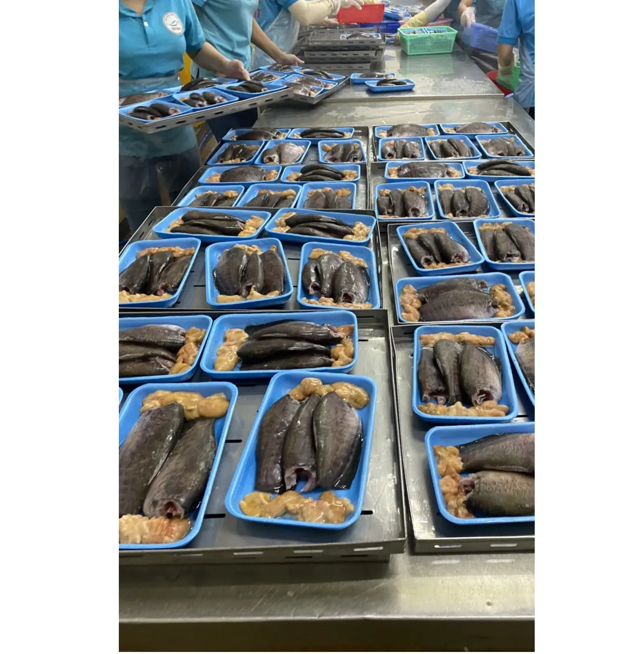 Fish Top Quality Frozen Bulk Fish Black Tilapia Whole Round 100/200g 200/300g Tilapia For Wholesale