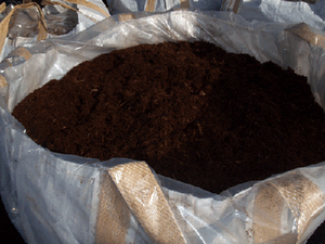 Bagazo de caña de azúcar, fermentada, para alimentación de ganado de Vietnam, Sven + 84 966722357 - Product Image 5