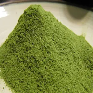 Private Label Supplier Best Price Bulk Moringa Oleifera Leaf Powder Herbal Extract Moringa Leaf Powder for Sale