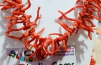 Corail rouge italien Unique Branches collier de pierres précieuses polies en vrac prix de gros par carat naturel de bonne qualité