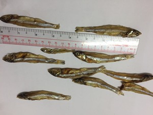 ANCHOIS SÉCHÉS/SPRATS SÉCHÉS/POISSON BOUILLÉ SÉCHÉ VENTE EN GROS - Product Image 4