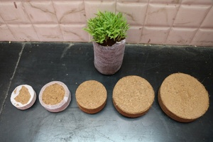 <b>COIR</b> Disk <b>Block</b> for Plant Growth - Product Image 4
