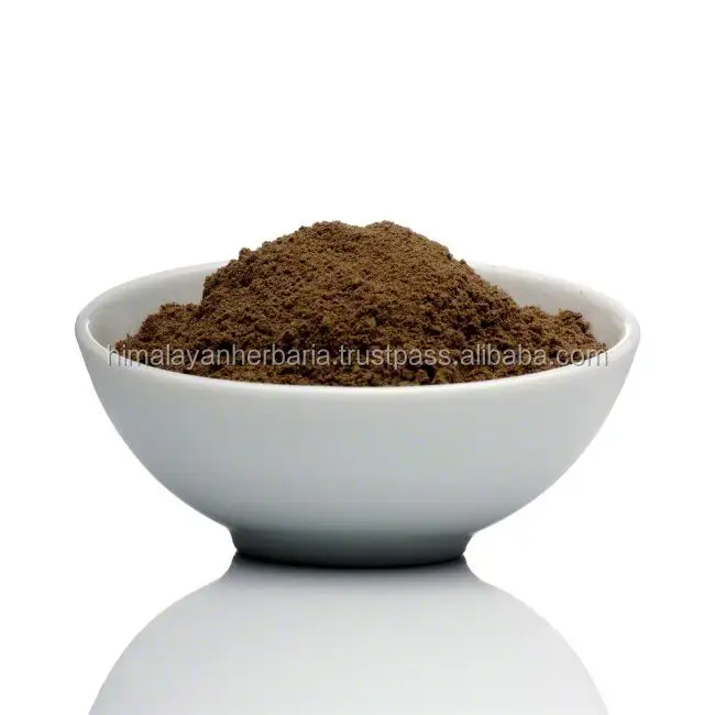 2023 ekstrak Rainwood Shilajit 4:1 pasokan produsen organik asam Fulvic aspal ekstrak Shilajit bubuk Shilajit