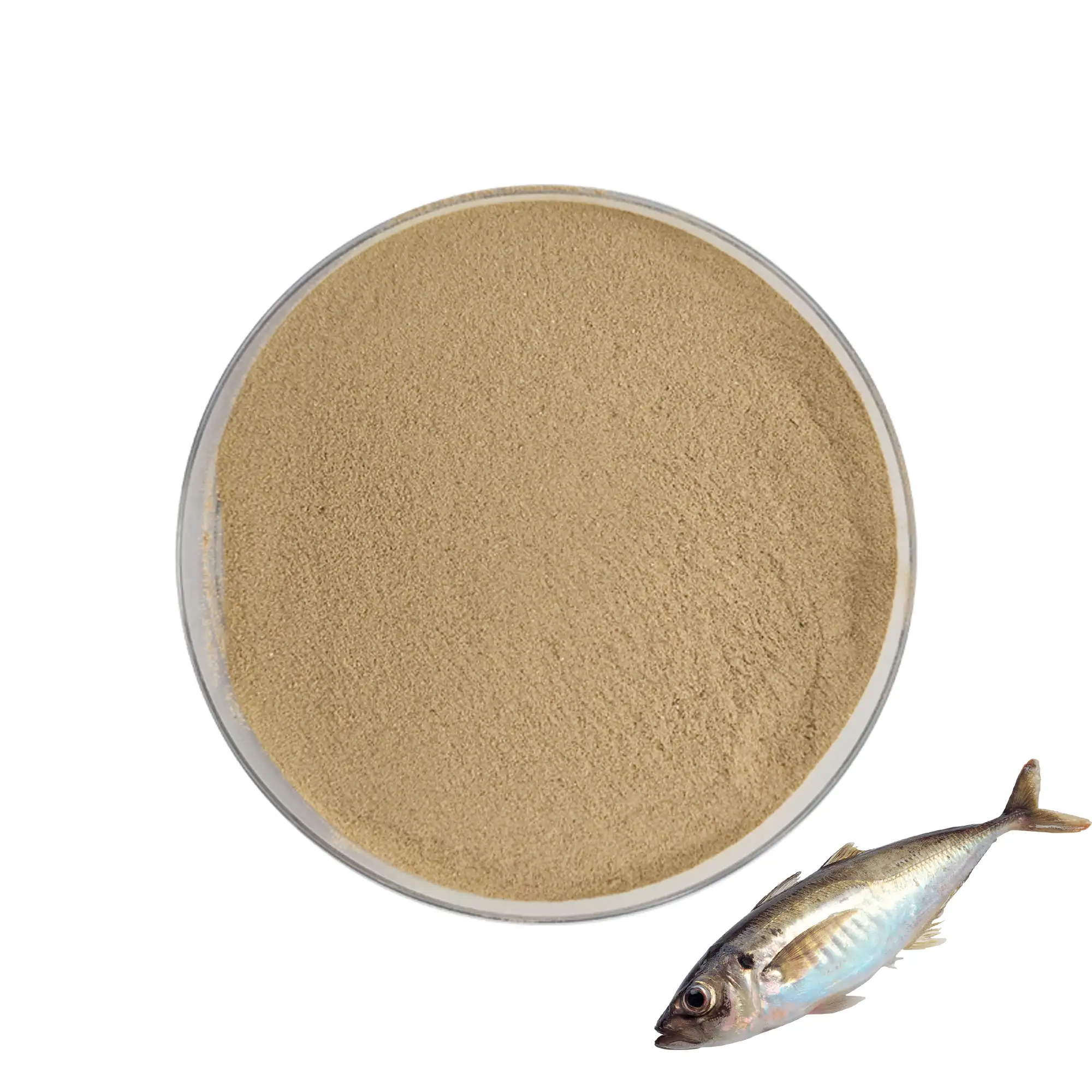Aquakultur Probiotische Vor mischung % 10 - PROAQUA PMX 20 kg/Beutel