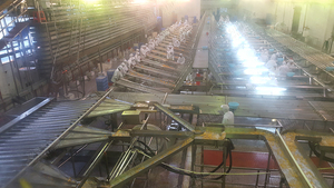 Hoàn Thành Có Thể Dòng Đóng Hộp Thiếc Có Thể Niêm Phong Máy Cam Pear Nho Kiwi Trái Cây Canning Máy - Product Image 3