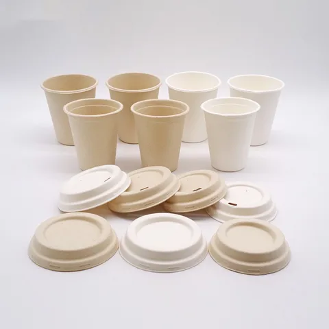 Cover For Double Wall Paper W Sugarcane 8oz 12oz Lids Biodegradable Pla Dome Lid Cup