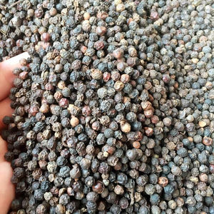Venta al por mayor de pimienta negra de Vietnam 550gl 500gl Procesamiento crudo seco Tipo AD Proceso de secado - Product Image 1