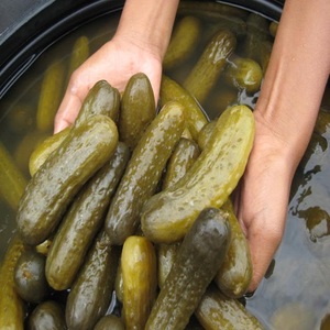 Cornichons marinés exportés légumes conservés - Product Image 5