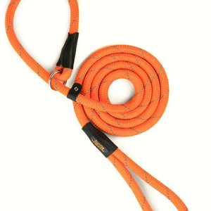 Mighty Paw <b>Slip</b> Rope Leash - Product Image 1